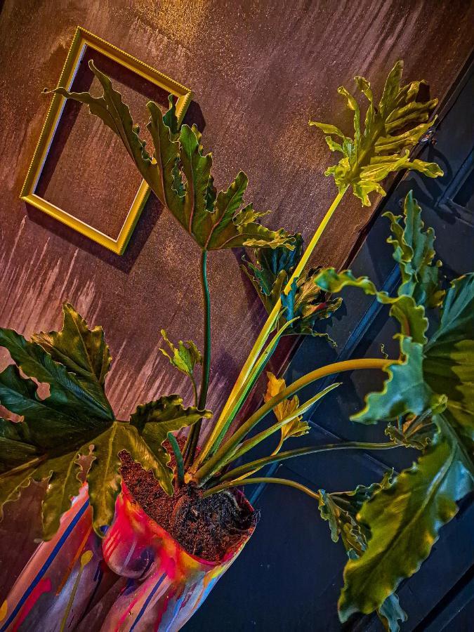 Urban Hostal Bar Bucaramanga Kültér fotó